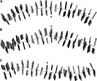 https://cdn.ncbi.nlm.nih.gov/pmc/blobs/aca5/2703913/672384ef1a21/gkp287f2.jpg