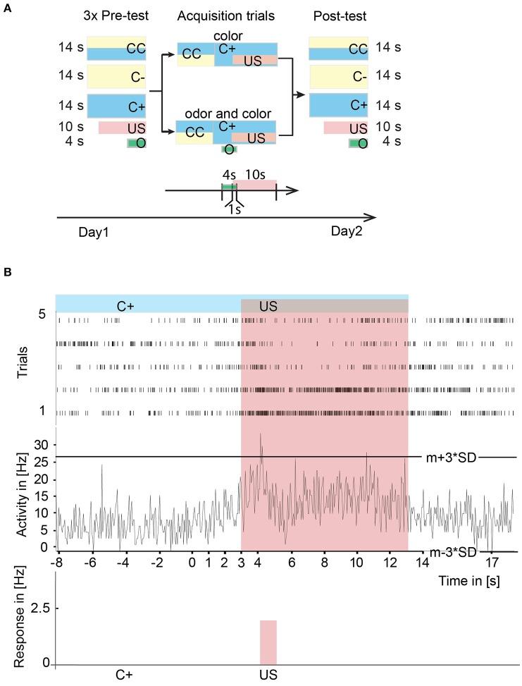 https://cdn.ncbi.nlm.nih.gov/pmc/blobs/aca5/6355692/ba2b27fb5bda/fnbeh-12-00279-g0005.jpg