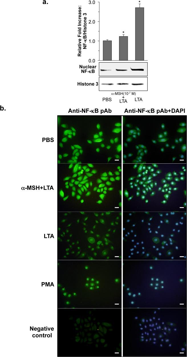 https://cdn.ncbi.nlm.nih.gov/pmc/blobs/aca8/4550463/4761e447b915/pone.0136887.g002.jpg
