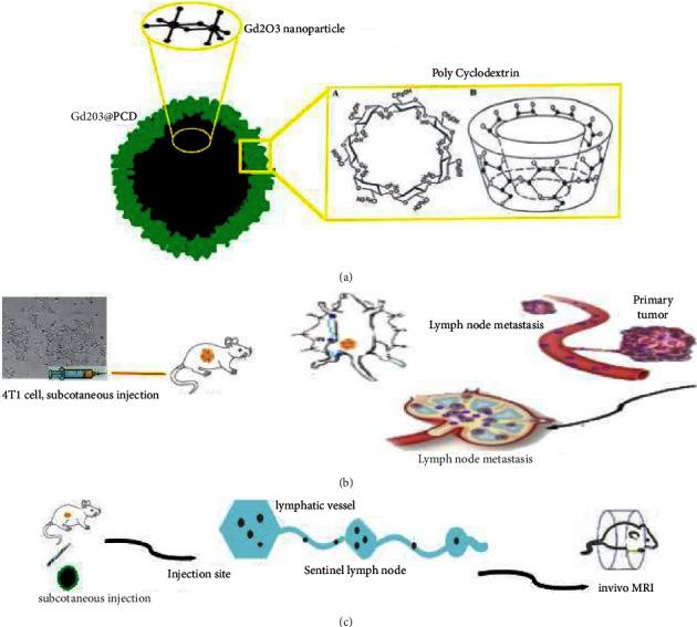 https://cdn.ncbi.nlm.nih.gov/pmc/blobs/aca8/9581618/df5d872a84f7/CMMI2022-5425851.001.jpg