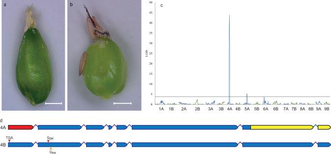 https://cdn.ncbi.nlm.nih.gov/pmc/blobs/aca9/10284860/f95746d51c8d/41467_2023_38915_Fig4_HTML.jpg