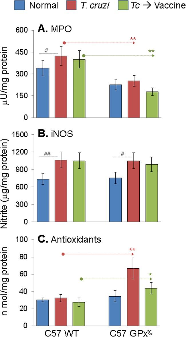 https://cdn.ncbi.nlm.nih.gov/pmc/blobs/aca9/4468200/2f1592922cea/pone.0130562.g002.jpg