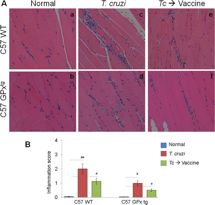 https://cdn.ncbi.nlm.nih.gov/pmc/blobs/aca9/4468200/95e80e149130/pone.0130562.g004.jpg