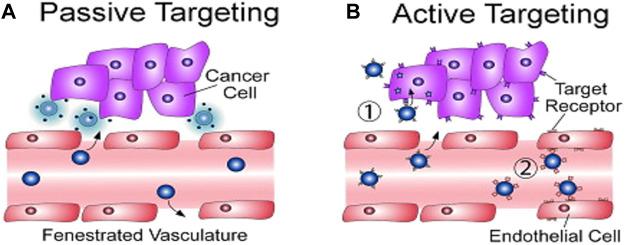 https://cdn.ncbi.nlm.nih.gov/pmc/blobs/aca9/9039169/1e30fd90c05f/fchem-10-830133-g010.jpg