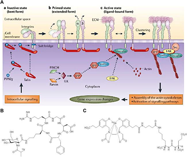 https://cdn.ncbi.nlm.nih.gov/pmc/blobs/aca9/9039169/9468a842bee5/fchem-10-830133-g007.jpg