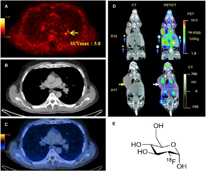 https://cdn.ncbi.nlm.nih.gov/pmc/blobs/aca9/9039169/96196f9f9d12/fchem-10-830133-g002.jpg
