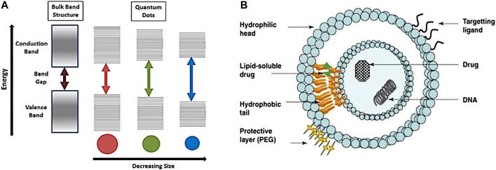 https://cdn.ncbi.nlm.nih.gov/pmc/blobs/aca9/9039169/b279eaa960c2/fchem-10-830133-g011.jpg