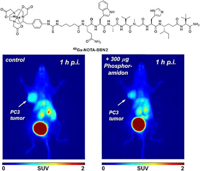 https://cdn.ncbi.nlm.nih.gov/pmc/blobs/aca9/9039169/bee1947c8d7a/fchem-10-830133-g006.jpg