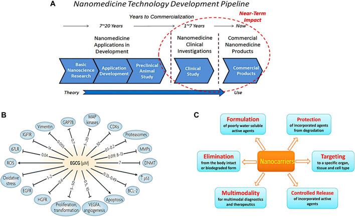 https://cdn.ncbi.nlm.nih.gov/pmc/blobs/aca9/9039169/dae4660bff8b/fchem-10-830133-g014.jpg