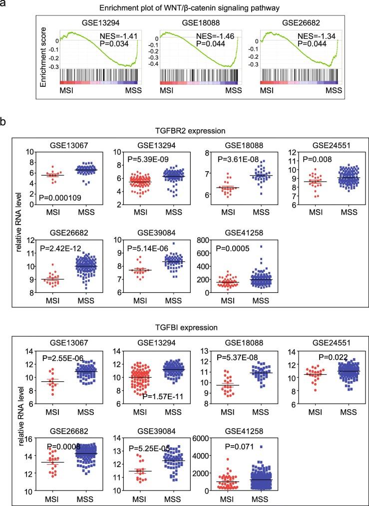 https://cdn.ncbi.nlm.nih.gov/pmc/blobs/acae/6585086/0650f0aa2645/12885_2019_5802_Fig3_HTML.jpg