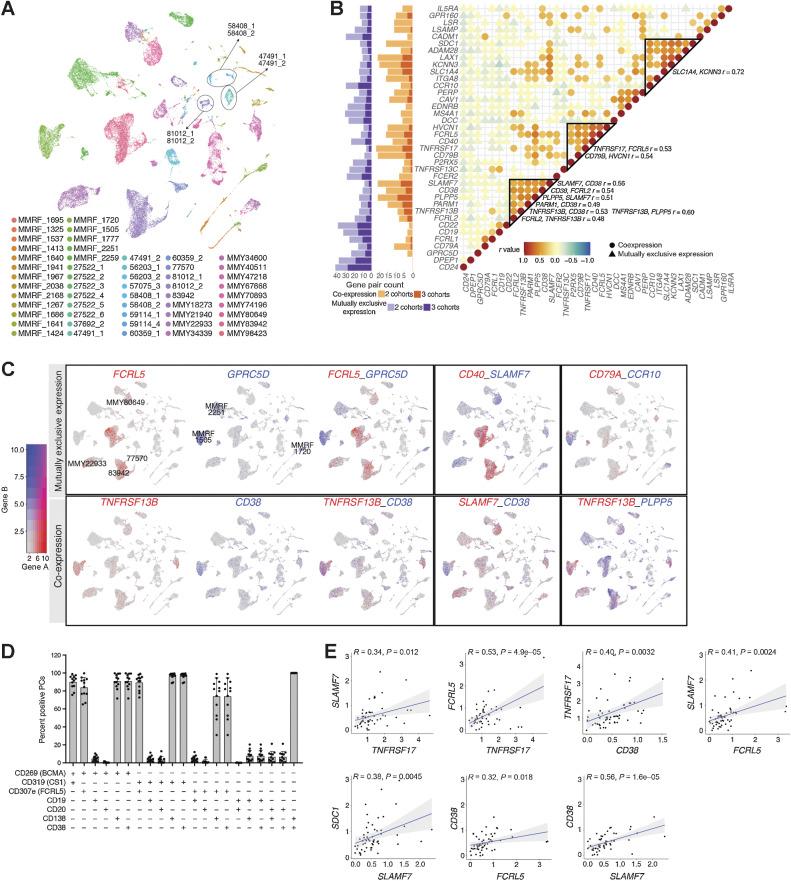 https://cdn.ncbi.nlm.nih.gov/pmc/blobs/acaf/10102848/5e0c25ceaf33/1214fig4.jpg