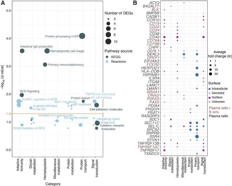 https://cdn.ncbi.nlm.nih.gov/pmc/blobs/acaf/10102848/657e06af0863/1214fig2.jpg