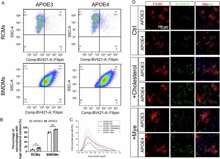 https://cdn.ncbi.nlm.nih.gov/pmc/blobs/acb0/12012174/a64bcb2245d4/41420_2025_2454_Fig4_HTML.jpg