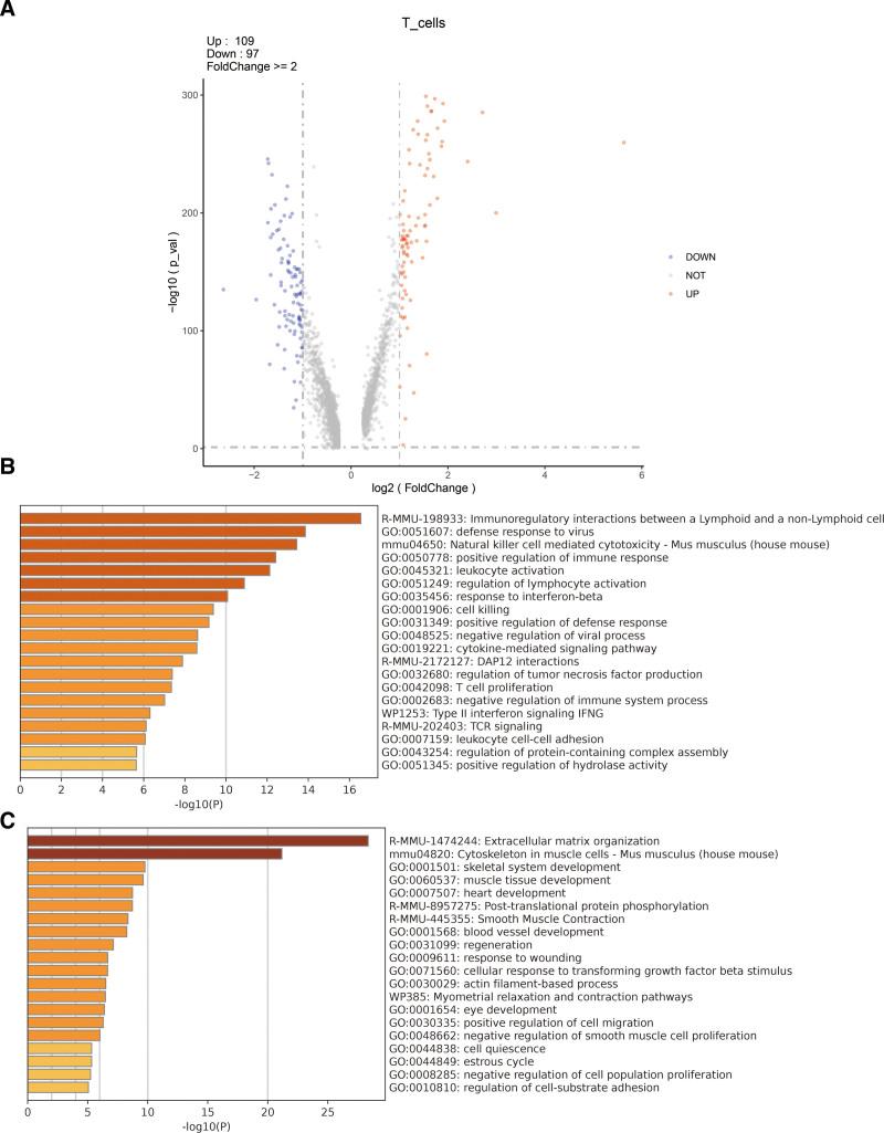 https://cdn.ncbi.nlm.nih.gov/pmc/blobs/acb0/12212817/f08a8cec9ce8/medi-104-e43033-g002.jpg