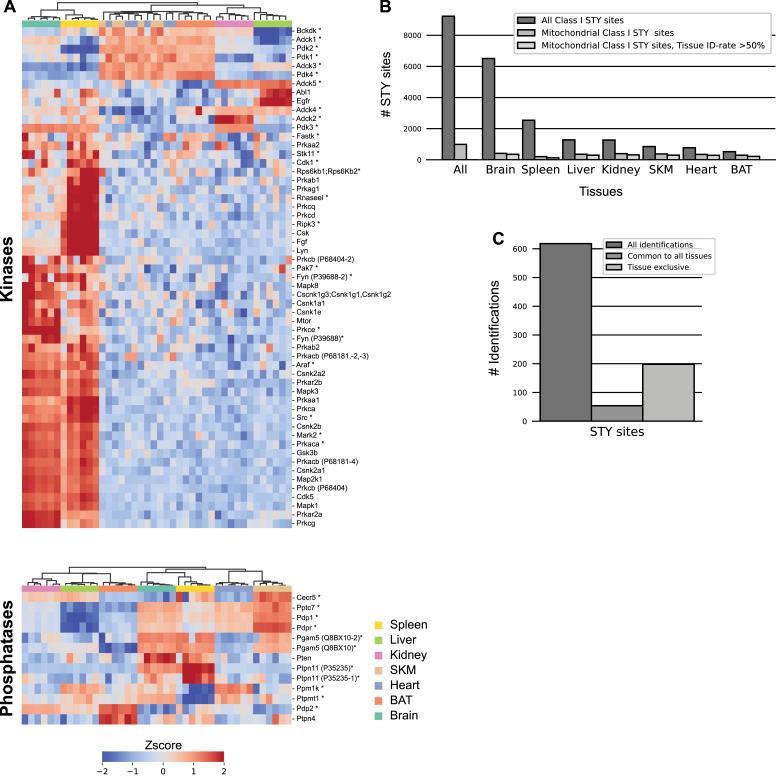 https://cdn.ncbi.nlm.nih.gov/pmc/blobs/acb1/10662294/64d283511fa2/LSA-2023-02147_Fig5.jpg