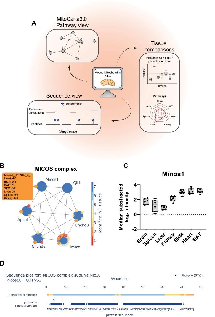 https://cdn.ncbi.nlm.nih.gov/pmc/blobs/acb1/10662294/cc28dd45b195/LSA-2023-02147_Fig8.jpg
