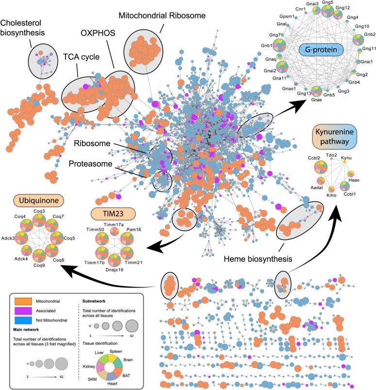 https://cdn.ncbi.nlm.nih.gov/pmc/blobs/acb1/10662294/e3bcb5558ba1/LSA-2023-02147_Fig4.jpg