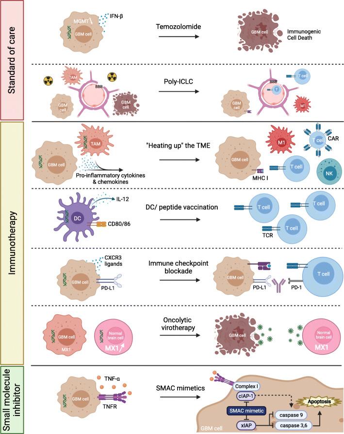 https://cdn.ncbi.nlm.nih.gov/pmc/blobs/acb1/8229304/7d5ed0ab954a/13046_2021_2017_Fig4_HTML.jpg