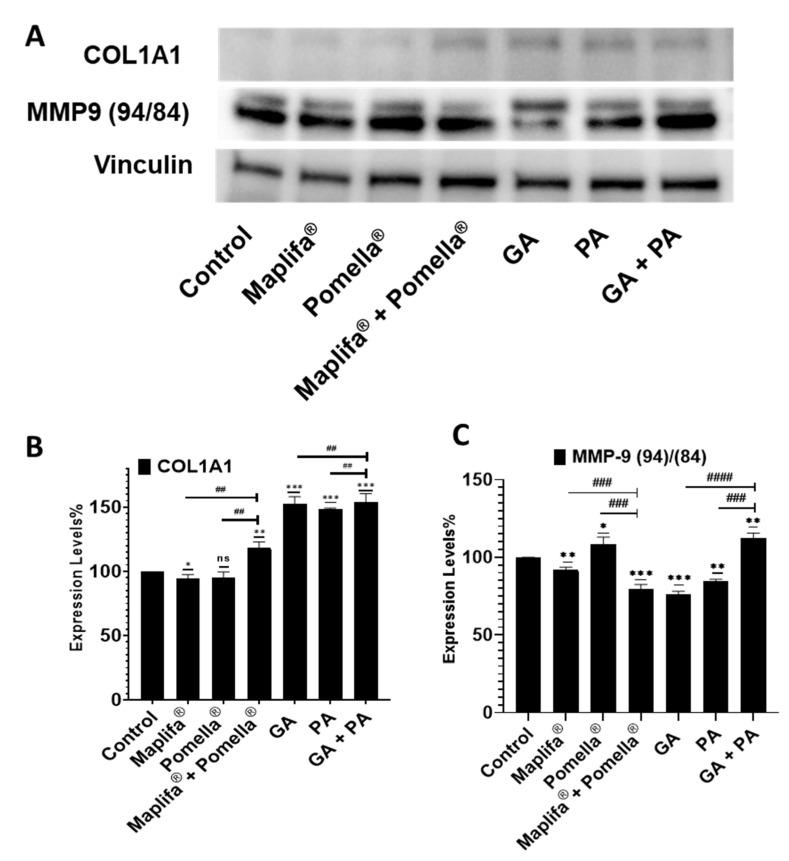 https://cdn.ncbi.nlm.nih.gov/pmc/blobs/acb1/9696304/1e0b0a43ca05/molecules-27-07919-g007.jpg