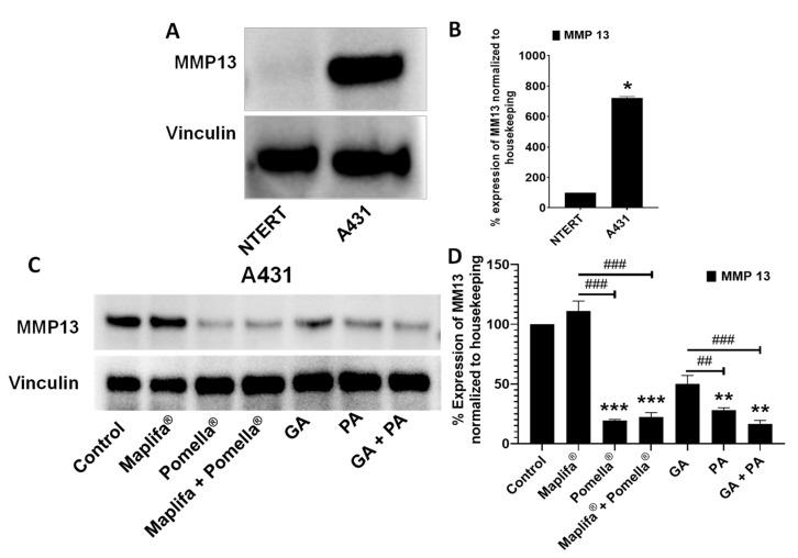 https://cdn.ncbi.nlm.nih.gov/pmc/blobs/acb1/9696304/65010752673e/molecules-27-07919-g006.jpg