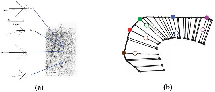 https://cdn.ncbi.nlm.nih.gov/pmc/blobs/acb2/10404581/f20747a09790/10827_2023_850_Fig1_HTML.jpg