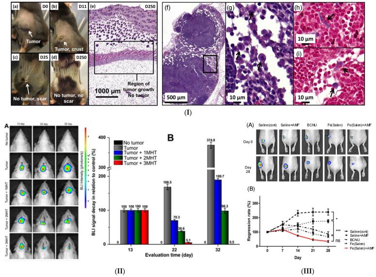 https://cdn.ncbi.nlm.nih.gov/pmc/blobs/acb2/11432100/381dde583ed8/ijms-25-10065-g007.jpg