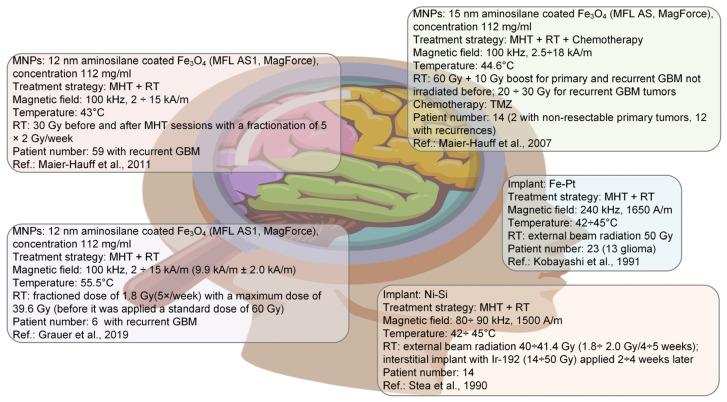 https://cdn.ncbi.nlm.nih.gov/pmc/blobs/acb2/11432100/ac7d2288bade/ijms-25-10065-g009.jpg