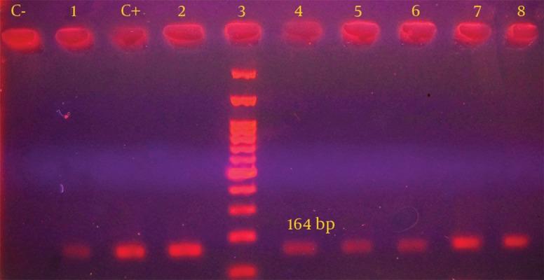 https://cdn.ncbi.nlm.nih.gov/pmc/blobs/acb5/4138636/b54663a20179/jjm-07-10019-g001.jpg
