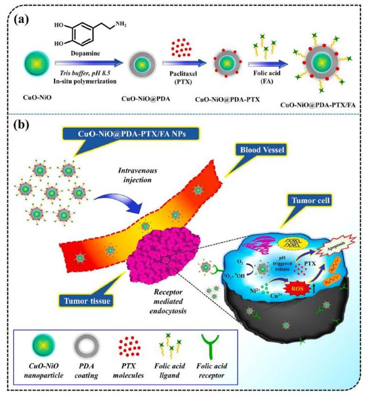 https://cdn.ncbi.nlm.nih.gov/pmc/blobs/acb6/11674168/0aafa62238f6/cancers-16-04234-g008.jpg