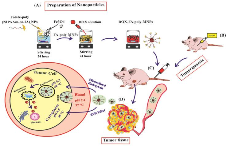 https://cdn.ncbi.nlm.nih.gov/pmc/blobs/acb6/11674168/4dd4c1896347/cancers-16-04234-g006.jpg