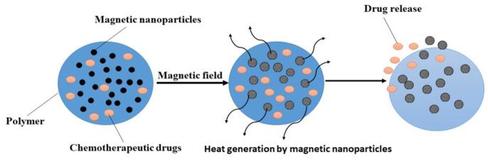 https://cdn.ncbi.nlm.nih.gov/pmc/blobs/acb6/11674168/4e6321c317ed/cancers-16-04234-g005.jpg