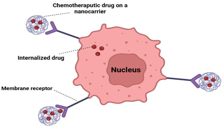 https://cdn.ncbi.nlm.nih.gov/pmc/blobs/acb6/11674168/6b5199ba5a30/cancers-16-04234-g004.jpg