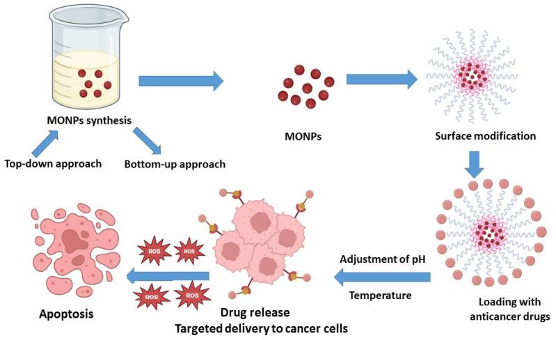 https://cdn.ncbi.nlm.nih.gov/pmc/blobs/acb6/11674168/d79a8c32bd69/cancers-16-04234-g002.jpg