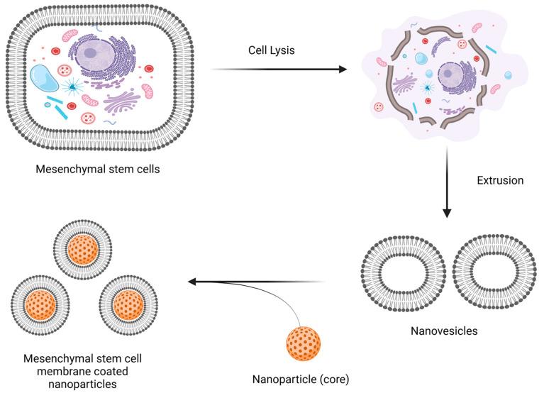 https://cdn.ncbi.nlm.nih.gov/pmc/blobs/acb7/11270309/76561740078a/jox-14-00047-g001.jpg