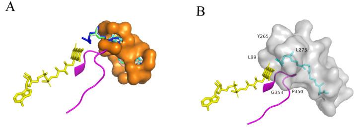https://cdn.ncbi.nlm.nih.gov/pmc/blobs/acb9/12196517/158a54afb598/plants-14-01740-g011.jpg
