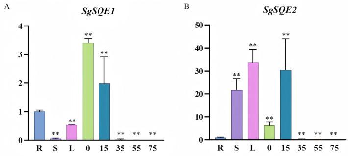 https://cdn.ncbi.nlm.nih.gov/pmc/blobs/acb9/12196517/595e984064ec/plants-14-01740-g010.jpg