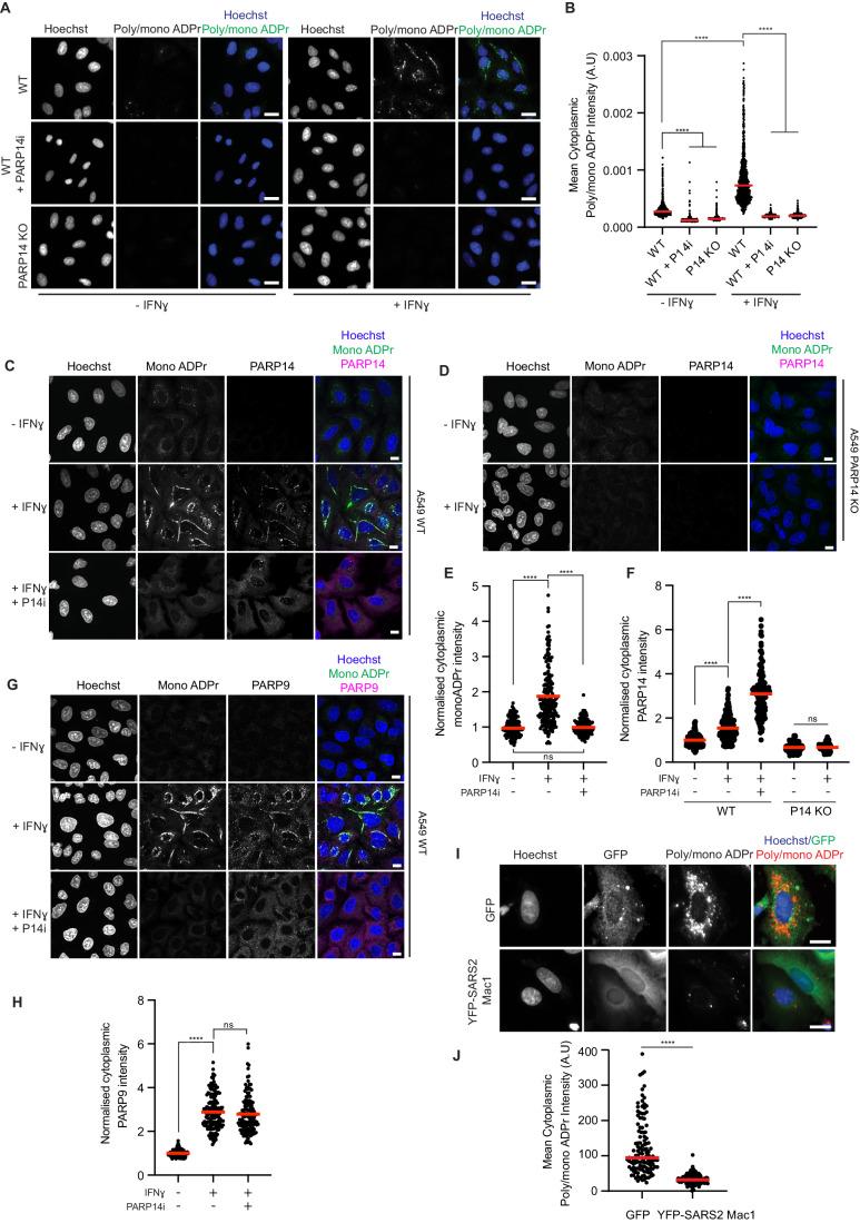 https://cdn.ncbi.nlm.nih.gov/pmc/blobs/acba/11251020/771120a172ad/44318_2024_126_Fig2_HTML.jpg