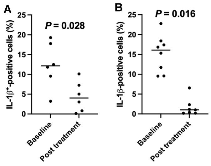 https://cdn.ncbi.nlm.nih.gov/pmc/blobs/acba/11313087/5a487332e5d6/ijms-25-08337-g005.jpg