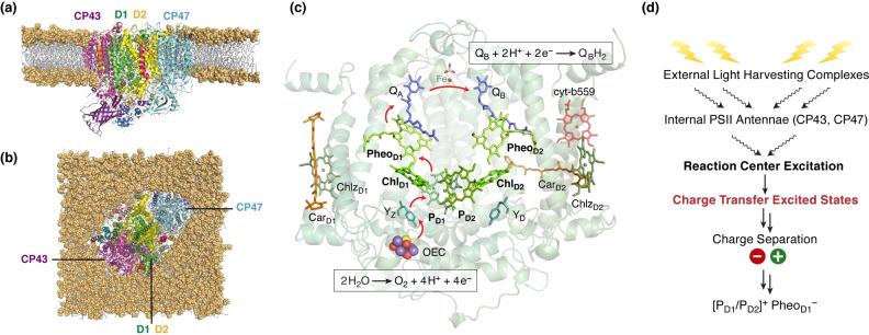 https://cdn.ncbi.nlm.nih.gov/pmc/blobs/acba/9304563/3b28bb49e784/ANIE-61-0-g003.jpg