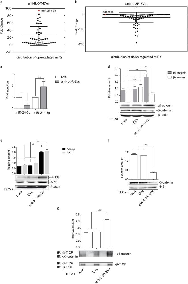https://cdn.ncbi.nlm.nih.gov/pmc/blobs/acbb/5861089/23591de5b741/41388_2017_34_Fig3_HTML.jpg