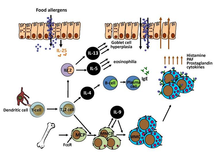 https://cdn.ncbi.nlm.nih.gov/pmc/blobs/acbd/5002447/3747de7d7341/in-16-211-g002.jpg