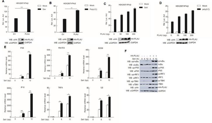 https://cdn.ncbi.nlm.nih.gov/pmc/blobs/acbe/11019896/3edf17b12457/jvi.00146-24.f004.jpg