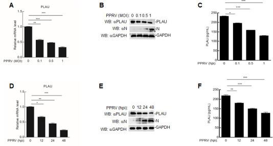 https://cdn.ncbi.nlm.nih.gov/pmc/blobs/acbe/11019896/eb19b30fef21/jvi.00146-24.f001.jpg