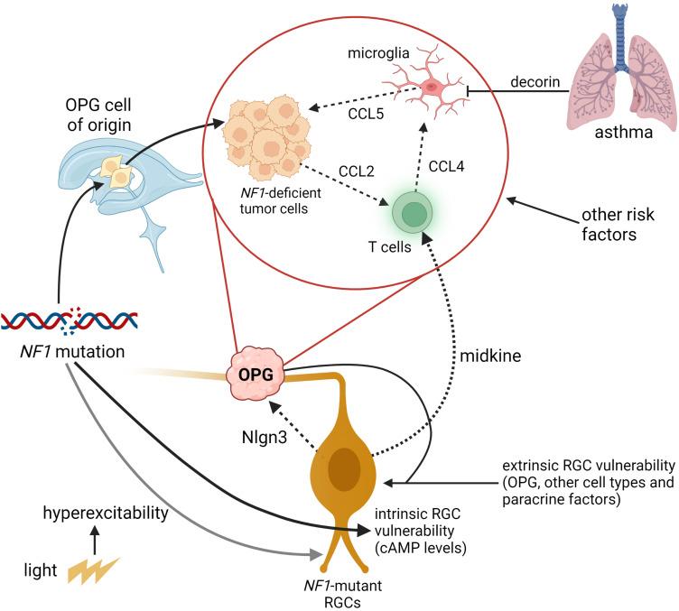 https://cdn.ncbi.nlm.nih.gov/pmc/blobs/acbf/10351533/7266251d8a36/CMAR-15-667-g0003.jpg