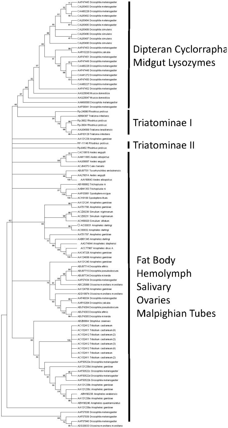 https://cdn.ncbi.nlm.nih.gov/pmc/blobs/acbf/3886914/fa94dbbab7a9/pntd.0002594.g003.jpg