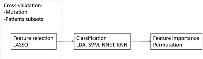 https://cdn.ncbi.nlm.nih.gov/pmc/blobs/acc0/12224037/d36f801a1cb3/TCA-16-e70115-g004.jpg