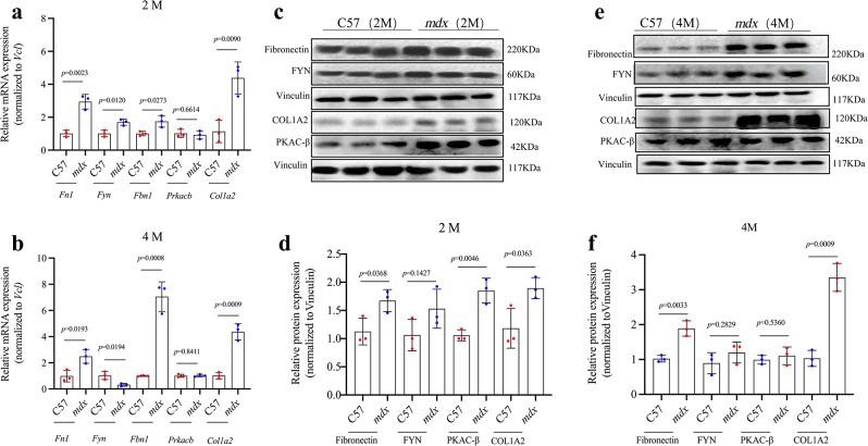 https://cdn.ncbi.nlm.nih.gov/pmc/blobs/acc1/11102231/34958f64df16/12891_2024_7206_Fig3_HTML.jpg