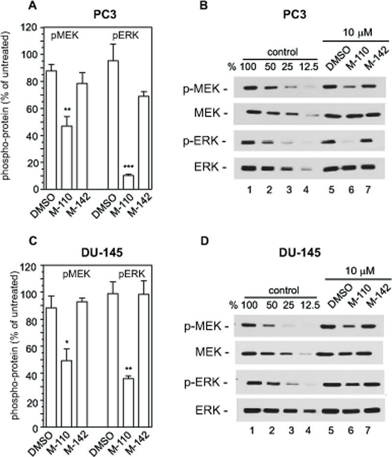 https://cdn.ncbi.nlm.nih.gov/pmc/blobs/acc1/3282072/6eb34d681417/oncotarget-02-1134-g004.jpg