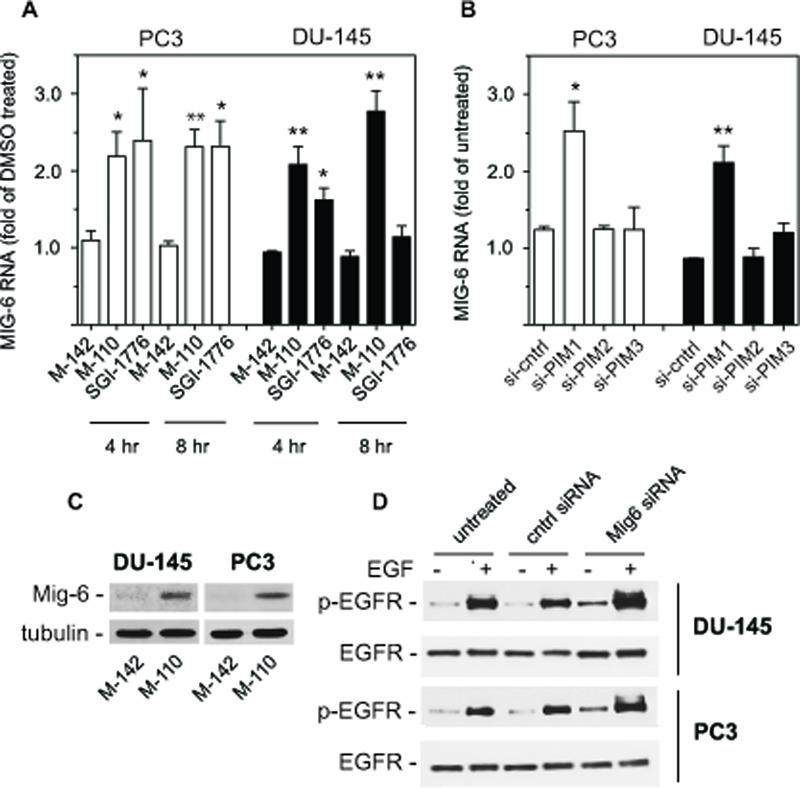 https://cdn.ncbi.nlm.nih.gov/pmc/blobs/acc1/3282072/a112a3536a55/oncotarget-02-1134-g002.jpg