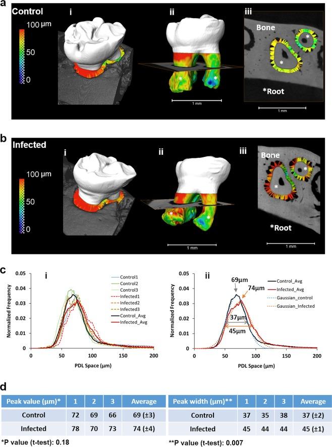 https://cdn.ncbi.nlm.nih.gov/pmc/blobs/acc1/7064479/3f88421f4431/41522_2020_120_Fig5_HTML.jpg